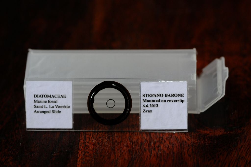 Il mio primo vetrino finito con diatomee arrangiate